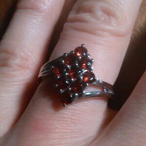 Mozambique Garnet Stainless Steel Ring (Size 7)